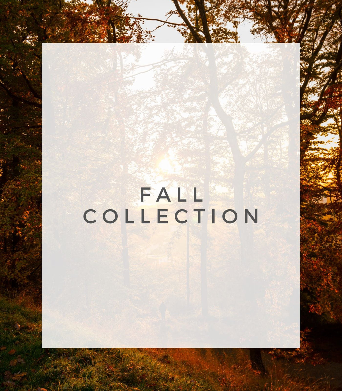 Fall Collection